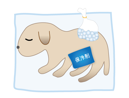 冷やす