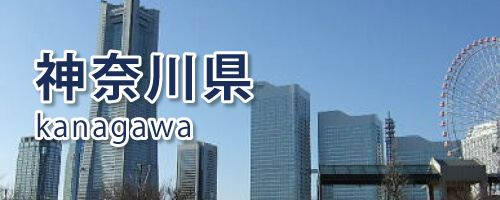 神川県の対応エリア